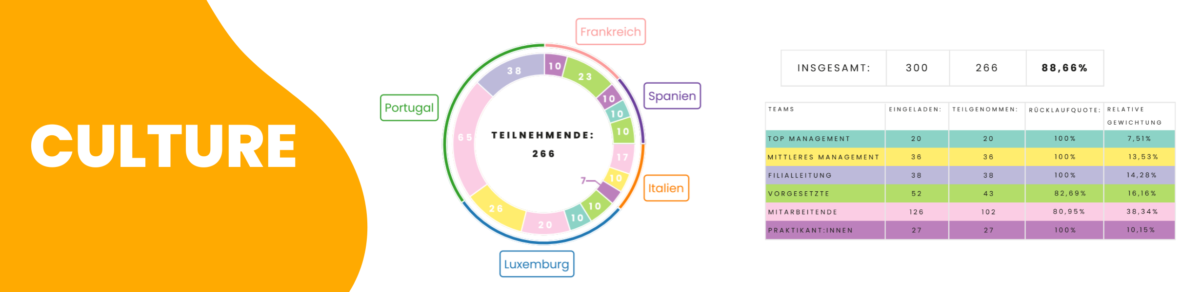 Culture Overview Report DE