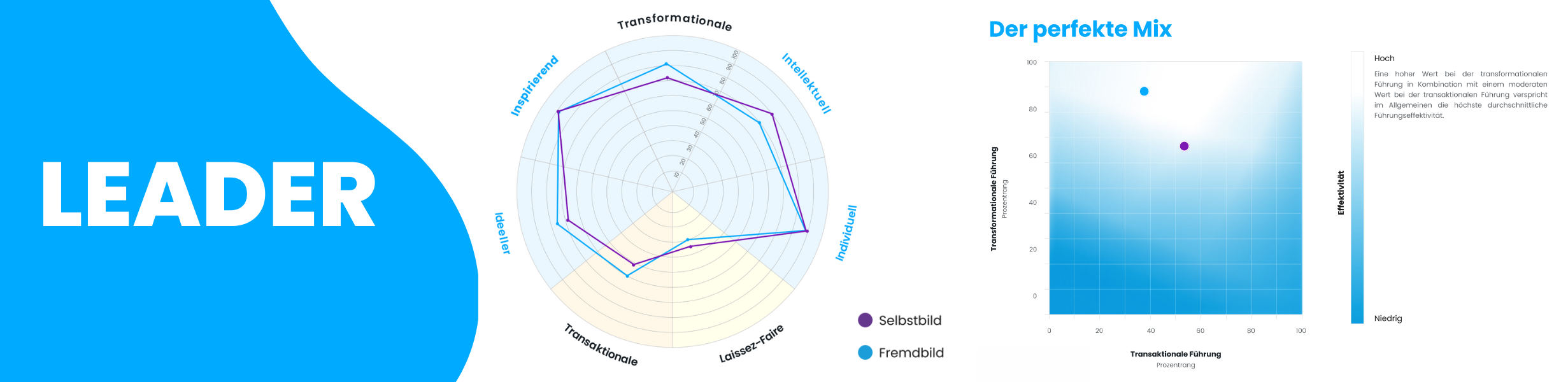 Leader Overview Report DE