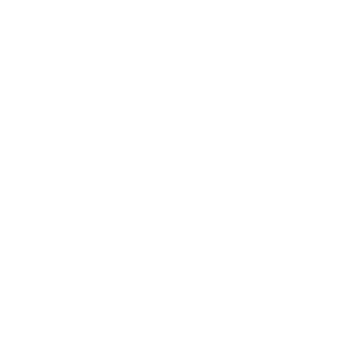 Burkert logo white