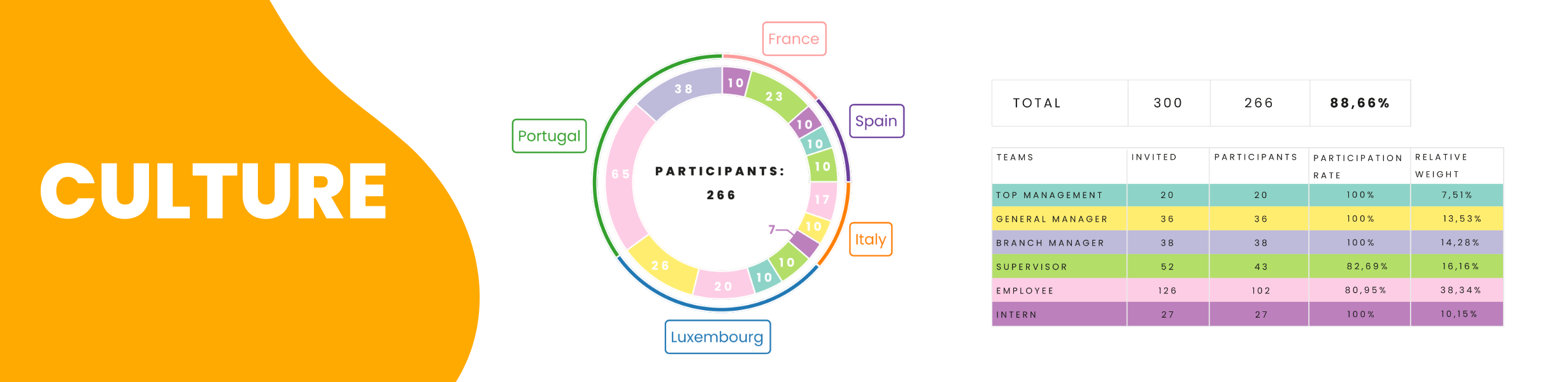 Culture Overview Report