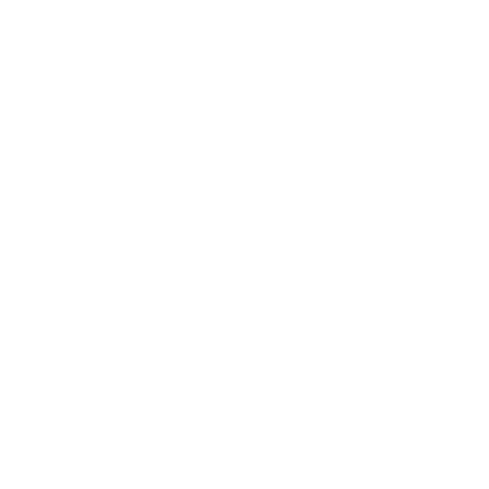 Deutsche Vermogensberatung logo white