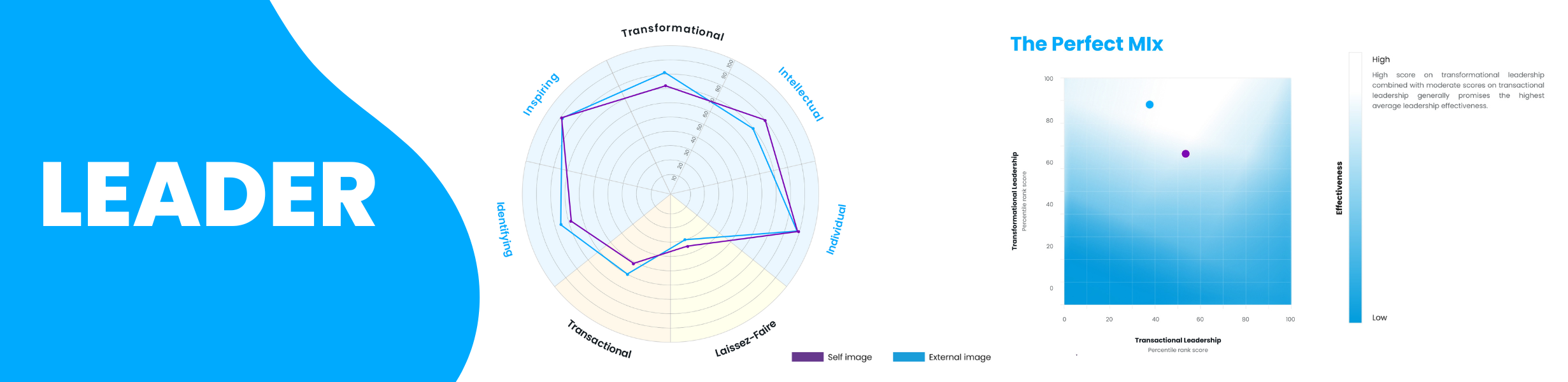 Leader Overview Report