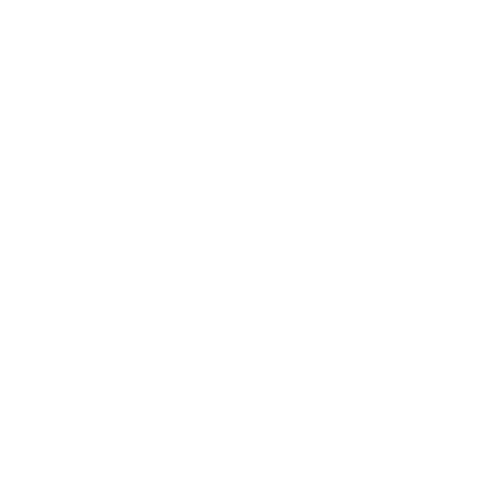 Salonkee logo white