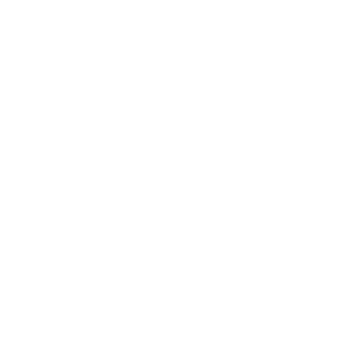 Vinci logo white