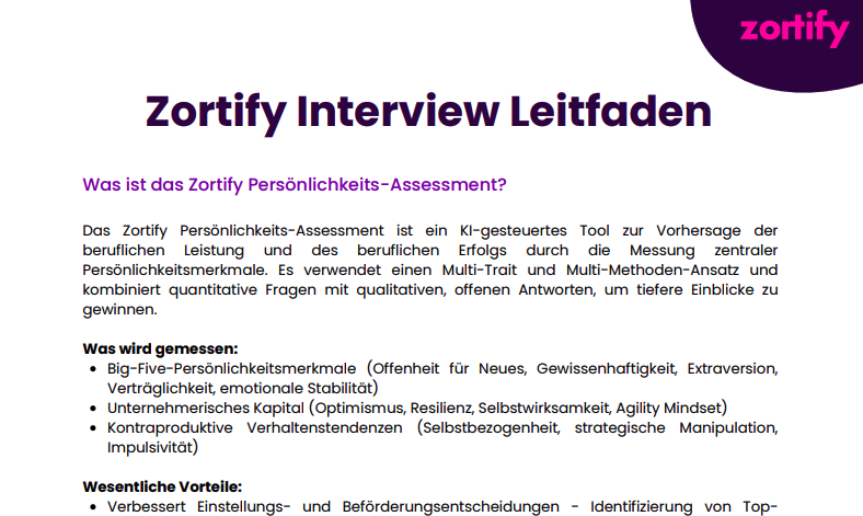 Interview Leitfaden Image