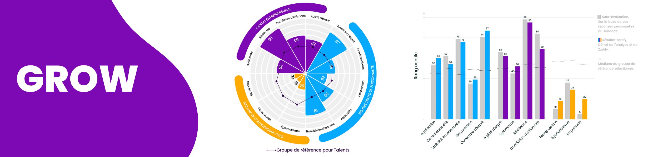 Grow Overview report FR